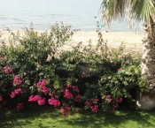 Case Vacanze Villa sul Mare